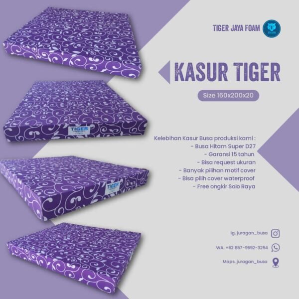 10 Kasur Busa Super (160x200x20 cm)