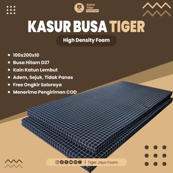 Kasur Busa (100x200x10 cm)