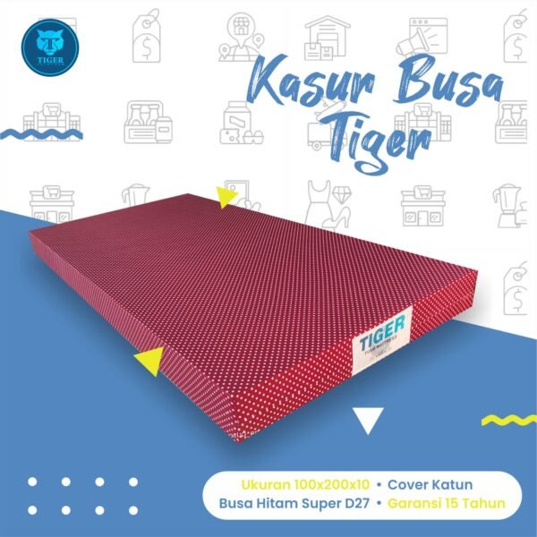Kasur Busa (100x200x10 cm)