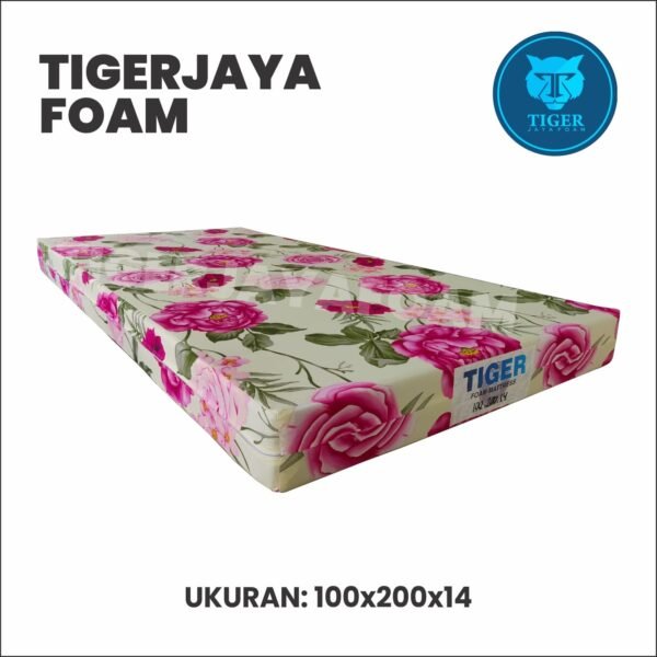 Kasur Busa D27 (100x200x14 cm)