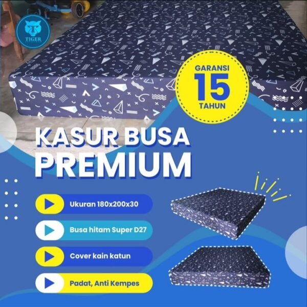 78 Kasur Busa Premium (180x200x30 cm)