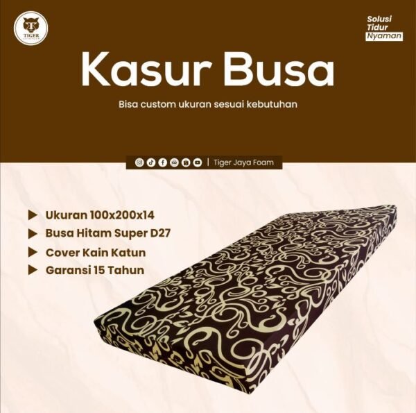 Kasur Busa D27 (100x200x14 cm)