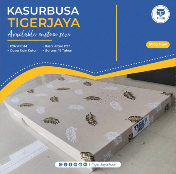 Kasur Busa 120x200x14 cm