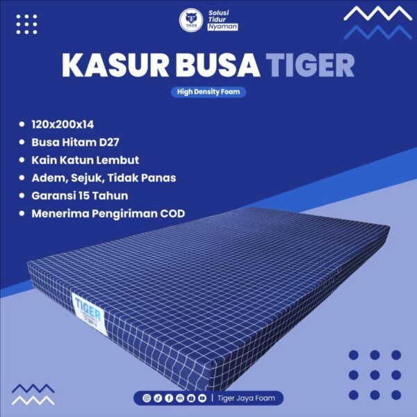Kasur Busa 120x200x14 cm